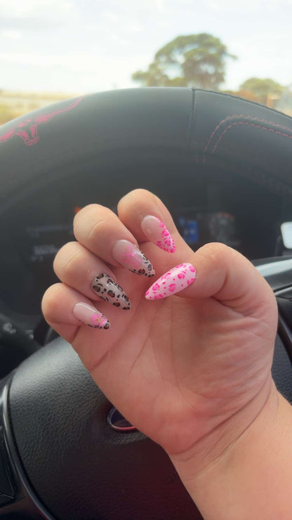 Hot Pink Purr